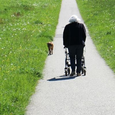 אביזרי תנועה לקשישים