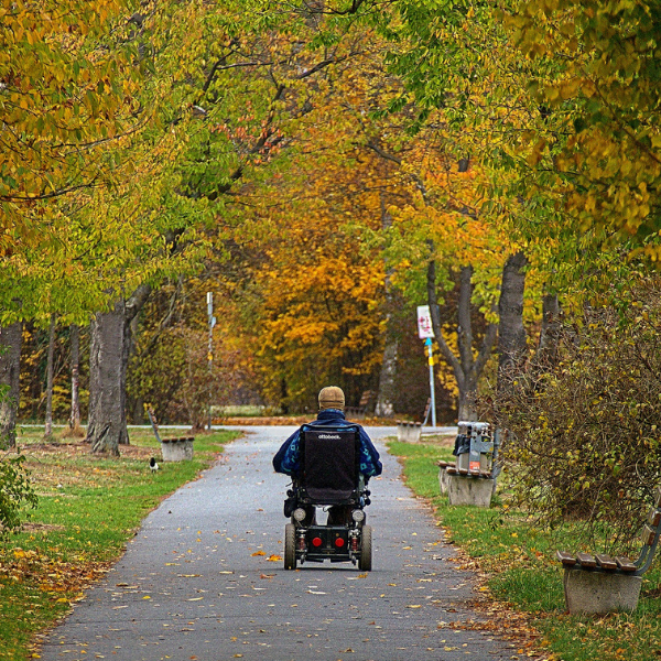 ������� ��������