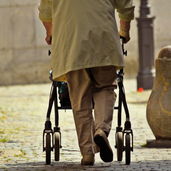 ����� �������� �������