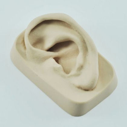 דגם אוזן ימין גומי