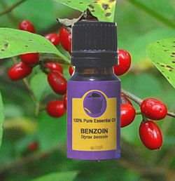  ��� �������