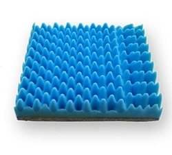 ���� ����� �� �����