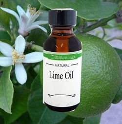 ��� ����