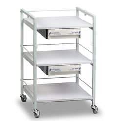 ���� �������� ���������