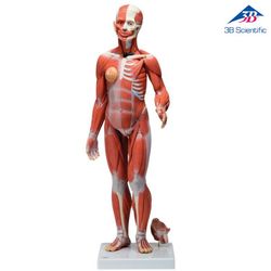 ���� ����� ��� ������� ������� (��� ���� ����)