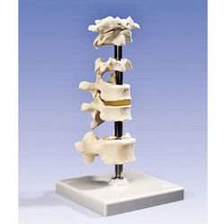 ��� 6 ������ ���� ���� 