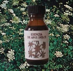 ��� ����