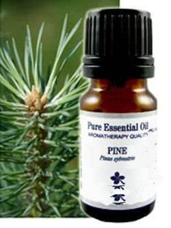 ��� ����