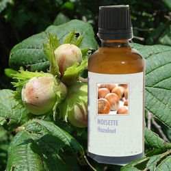 ��� ���� ��� 