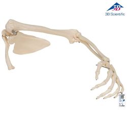 ���� ��� ���� ������ (�� ���� �����)