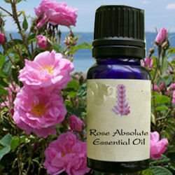 ��� ��� ������� 