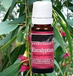  ��� ��������