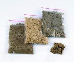 ����� ������ ����� �� 500 ���