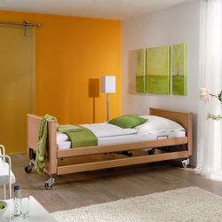 ���� ������ �������