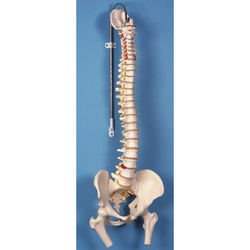 ��� ���� ���� ���� �� ���� ��� ����