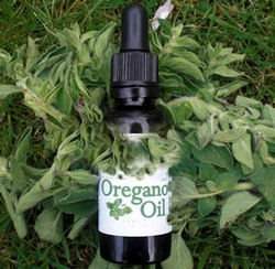 ��� ������ 