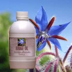 ��� ����  ���� ����� 