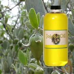 ��� ������