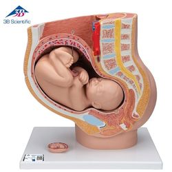 ��� ��� ����� �-40 ������