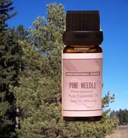 ��� ���� �����