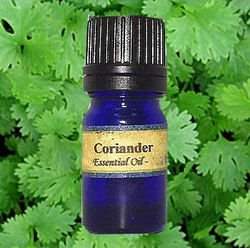 ��� ������