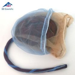 ��� ���� ���� �����