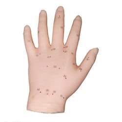 ���� �� ��� ����������