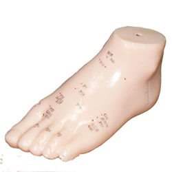 ���� �� ���� ����������