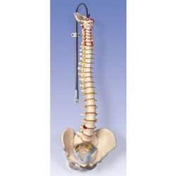 ��� ���� ���� ���� 74 �'�