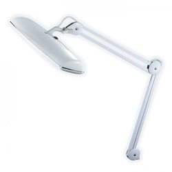 ����� �����������