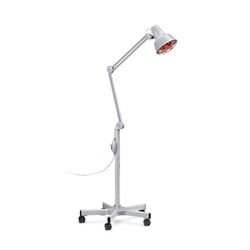 ����� ������ ���� 