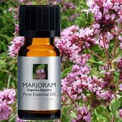 ��� �����