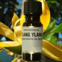  ��� ������ ������