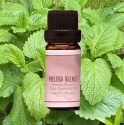 ��� �����